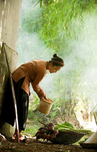 [ẢNH] Tìm lại vẻ đẹp xưa cũ bên những bức hình thiếu nữ và sen