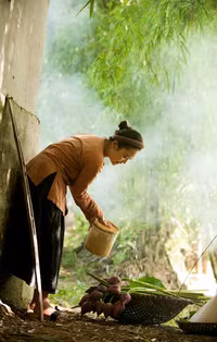 [ẢNH] Tìm lại vẻ đẹp xưa cũ bên những bức hình thiếu nữ và sen