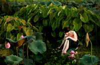 [ẢNH] Tìm lại vẻ đẹp xưa cũ bên những bức hình thiếu nữ và sen