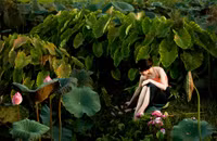 [ẢNH] Tìm lại vẻ đẹp xưa cũ bên những bức hình thiếu nữ và sen