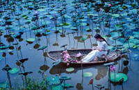 [ẢNH] Tìm lại vẻ đẹp xưa cũ bên những bức hình thiếu nữ và sen