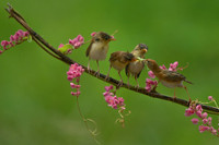 [Ảnh] Những khoảnh khắc ấn tượng về gia đình trên khắp thế giới