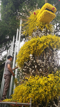 [Ảnh] Chưa khai mạc, Lễ hội hoa anh đào Nhật Bản-Hà Nội đã hút khách