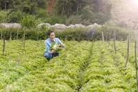 Lý Nhã Kỳ tận hưởng cuộc sống độc thân sau khi khép lại chuyện tình 10 năm