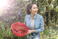 Lý Nhã Kỳ tận hưởng cuộc sống độc thân sau khi khép lại chuyện tình 10 năm