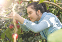 Lý Nhã Kỳ tận hưởng cuộc sống độc thân sau khi khép lại chuyện tình 10 năm