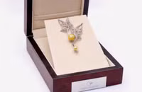 Khám phá hành lý nặng 160kg được Mỹ Linh mang đến Miss World 2017