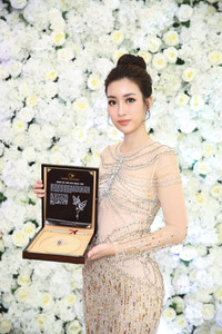 Khám phá hành lý nặng 160kg được Mỹ Linh mang đến Miss World 2017