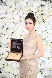 Khám phá hành lý nặng 160kg được Mỹ Linh mang đến Miss World 2017