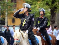 [ẢNH] Thích thú hình ảnh Cảnh sát cơ động kỵ binh diễu hành tại Hà Nội