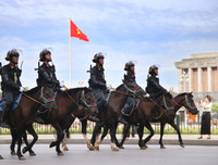 [ẢNH] Thích thú hình ảnh Cảnh sát cơ động kỵ binh diễu hành tại Hà Nội