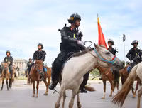 [ẢNH] Thích thú hình ảnh Cảnh sát cơ động kỵ binh diễu hành tại Hà Nội