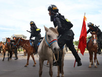 [ẢNH] Thích thú hình ảnh Cảnh sát cơ động kỵ binh diễu hành tại Hà Nội