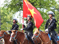 [ẢNH] Thích thú hình ảnh Cảnh sát cơ động kỵ binh diễu hành tại Hà Nội