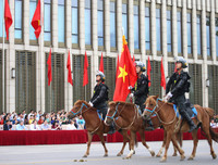 [ẢNH] Thích thú hình ảnh Cảnh sát cơ động kỵ binh diễu hành tại Hà Nội