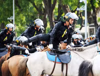[ẢNH] Thích thú hình ảnh Cảnh sát cơ động kỵ binh diễu hành tại Hà Nội