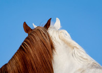 [Ảnh] Những khoảnh khắc ấn tượng về gia đình trên khắp thế giới