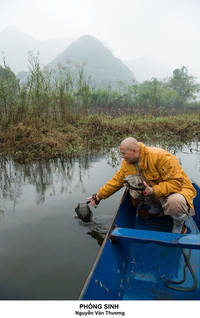[ẢNH] Vẻ đẹp phiêu linh của những khuôn hình về Phật giáo