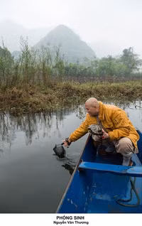 [ẢNH] Vẻ đẹp phiêu linh của những khuôn hình về Phật giáo