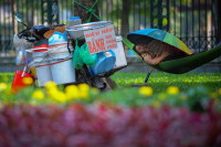 [ẢNH] Hình ảnh đẹp và chưa đẹp nơi công cộng của Hà Nội