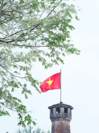 Những hình ảnh 