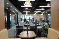 Ngưng đọng những thời khắc đẹp nhất của thiên nhiên trong triển lãm điêu khắc 