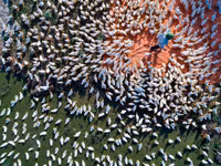 Ảnh chụp về Việt Nam khiến thế giới cũng phải ngỡ ngàng