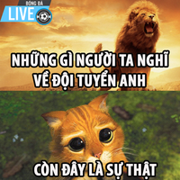 Ảnh chế World Cup 2018: ĐT Anh lại bị mang ra làm trò cười