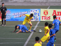 [ẢNH] THPT Tân Lập đã đoạt huy chương Đồng như thế nào?