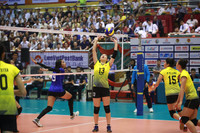 [ẢNH] Dàn chân dài 