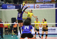 [ẢNH] Dàn chân dài 