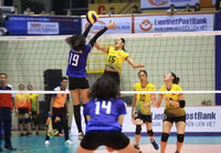 [ẢNH] Dàn chân dài 