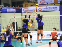 [ẢNH] Dàn chân dài 