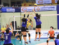 [ẢNH] Dàn chân dài 