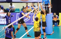 [ẢNH] Dàn chân dài 