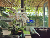 Ngắm villa trên không rộng hơn 200m2 của Nathan Lee