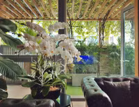 Ngắm villa trên không rộng hơn 200m2 của Nathan Lee