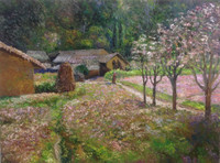 [Ảnh] Cây cổ thụ Hà Nội 