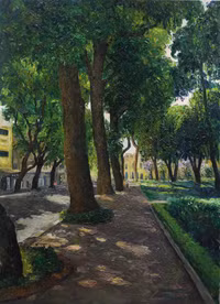 [Ảnh] Cây cổ thụ Hà Nội 