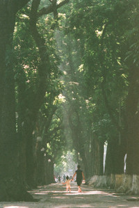 [ẢNH] Hà Nội thân thương qua những bức ảnh film