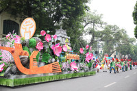 Rực rỡ Carnival đường phố Hà Nội kỷ niệm 