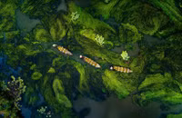 [ẢNH] Việt Nam đẹp ngỡ ngàng từ góc nhìn...trên mây