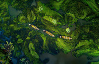 [ẢNH] Việt Nam đẹp ngỡ ngàng từ góc nhìn...trên mây