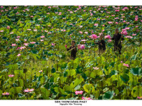 [ẢNH] Vẻ đẹp phiêu linh của những khuôn hình về Phật giáo