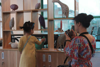 Ngưng đọng những thời khắc đẹp nhất của thiên nhiên trong triển lãm điêu khắc 