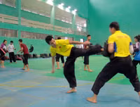 Trưởng đoàn Việt Nam thị sát 