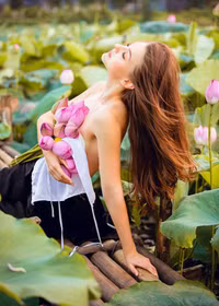 [Ảnh] Dân mạng mê mẩn với bộ ảnh của cô gái Tây chụp bên đầm sen