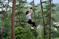 Đọ nhan sắc và học vấn của dàn người đẹp 