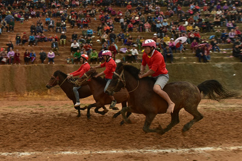 Ngựa giành chiến thắng thuộc về ngựa số 15 của ông Vàng Văn Giang đến từ huyện Bắc Hà, Lào Cai Ngựa giành chiến thắng thuộc về ngựa số 15 của ông Vàng Văn Giang đến từ huyện Bắc Hà, Lào Cai
