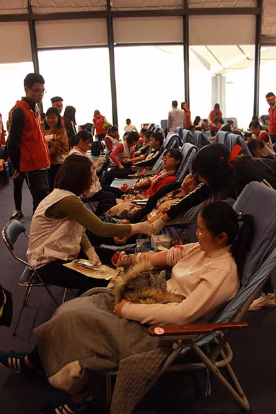 Tưng bừng lễ hội Xuân hồng lần thứ IX tại Hà Nội ảnh 8